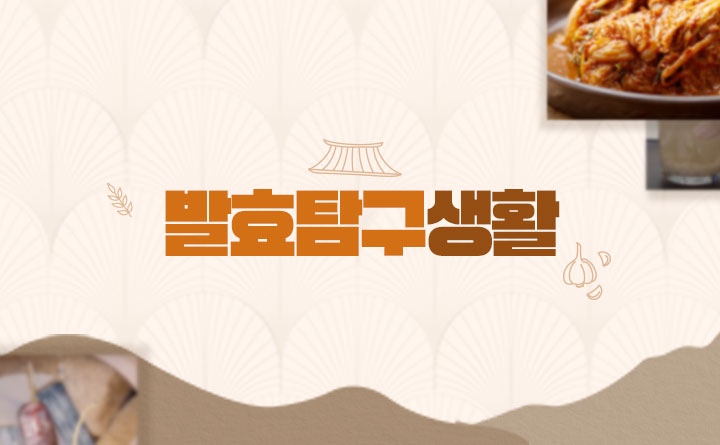 발효탐구생활