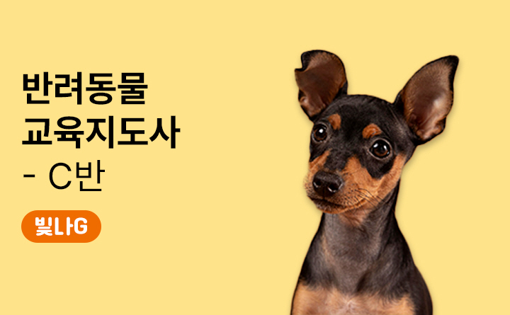 경기도 평생배움대학, 반려동물 교육지도사, C반, 빛나G, 경기대학교