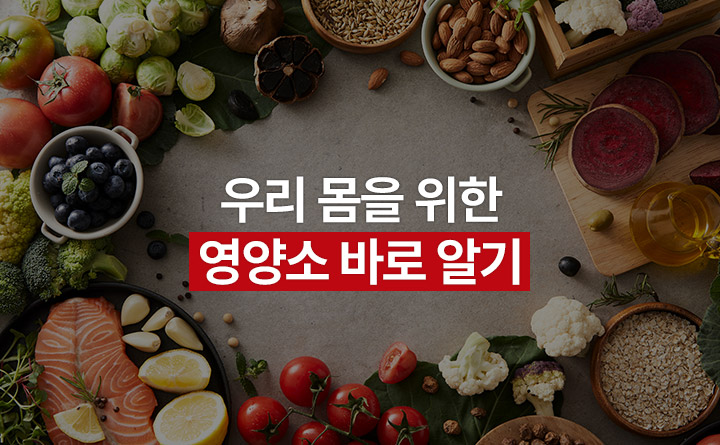 우리 몸을 위한 영양소 바로 알기