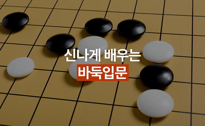 신나게배우는바둑입문(워라벨피플)