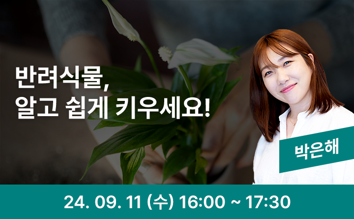 반려식물, 알고 쉽게 키우세요! 박은해 24. 09. 11(수) 16:00~17:30