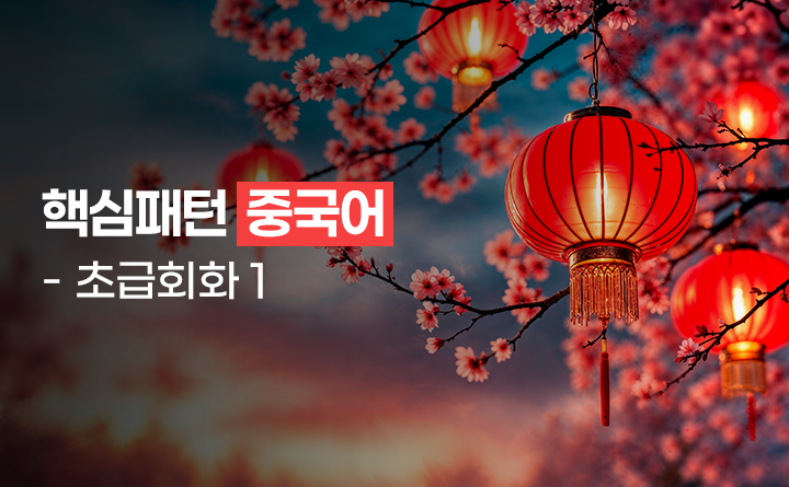 핵심패턴 중국어 - 초급회화 1