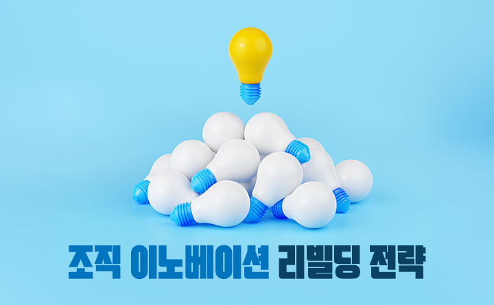 조직 이노베이션 : 성공으로 이끄는 리빌딩 전략