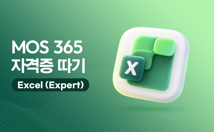 MOS 365 자격증 따기 Excel(Expert)