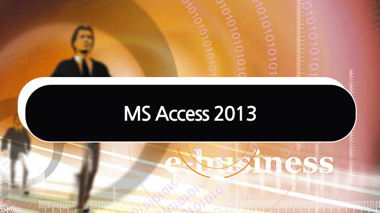 MS Access 2013