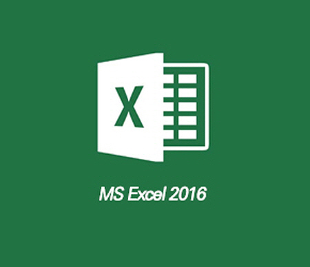 MS Excel 2016 기초 익히기